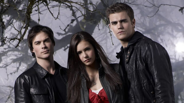 File:Damon-Elena-Stefan-damon-elena-stefan-8333257-800-448.jpg