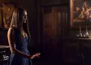 8.16-Elena