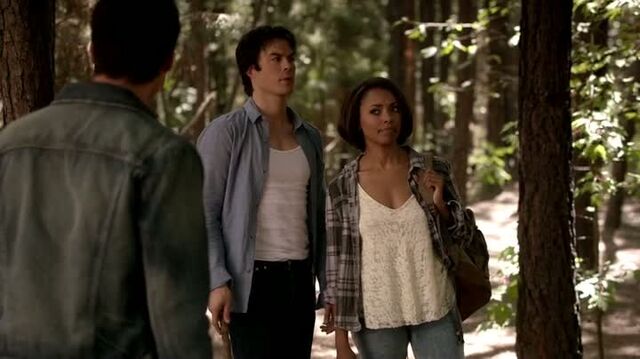 File:6X05-19-DamonBonnie.jpg