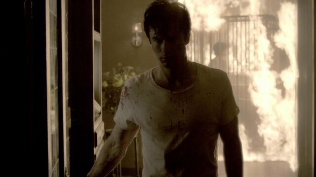File:TVD 1263.jpg