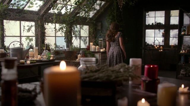 File:Normal TheOriginals121-0342.jpg