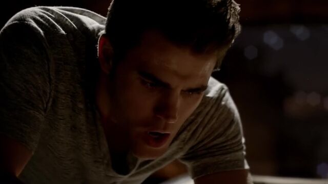 File:7X01-4-Stefan.jpg