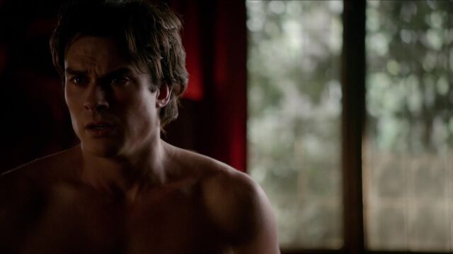 File:710-028-Damon.jpg