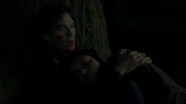 File:721-122-Damon-Bonnie.png