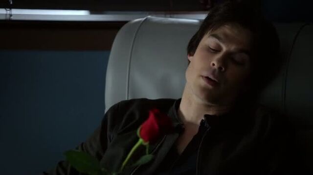 File:6X11-15-Damon.jpg