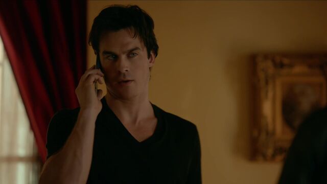 File:713-017-Damon.jpg