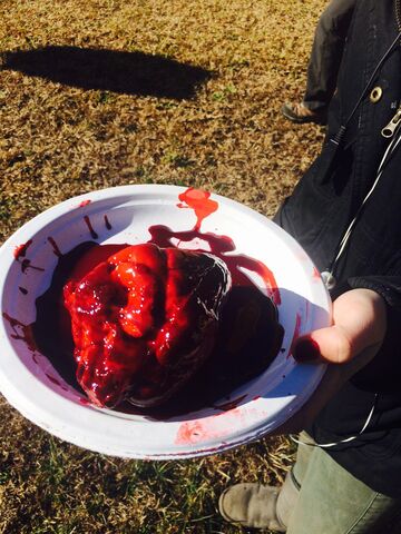 File:2016-02-19 Holly Brix Twitter.jpg