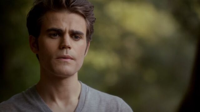 File:Stefan 22 TVD 5x04.jpg
