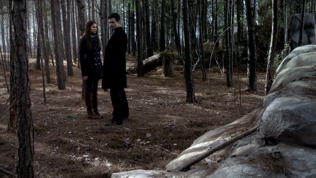 File:Elijah-and-Elena-3x15-elijah-and-elena-29159651-1280-720.jpg