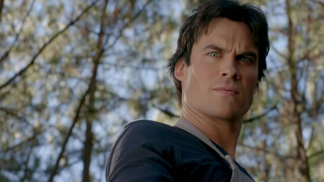 File:715-050-Damon.jpg