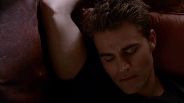 File:7X06-11-Stefan.jpg