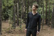 TO404promo Klaus