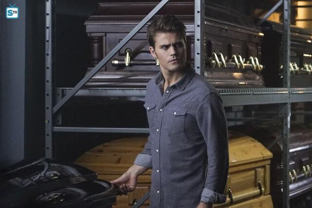 File:TVD705 Stefan.jpg