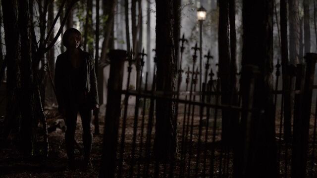 File:The.Vampire.Diaries.S05E22.720p.HDTV.X264-DIMENSION.mkv snapshot 41.02 -2014.05.17 16.11.32-.jpg
