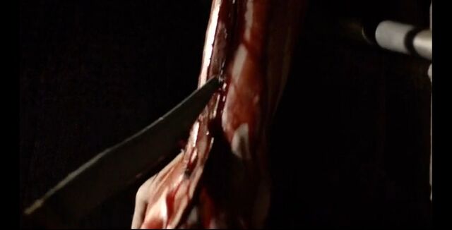 File:Screenshot 59.jpg