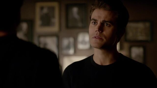 File:7X07-11-Stefan.jpg