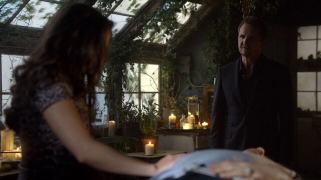 File:Normal TheOriginals121-1263.jpg