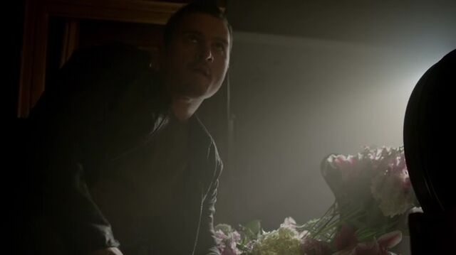 File:7X05-87-Enzo.jpg