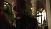 Lostgirl-shape-shifting-ww