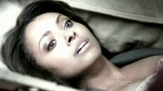 3x12 Bonnie.jpeg