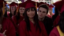 Kol4x233