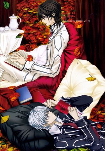 Plik:Animepaper-netpicture-standard-anime-vampire-knight-kaname-and-zero-158008-yuriarrow2-preview-a251a3d3.jpg
