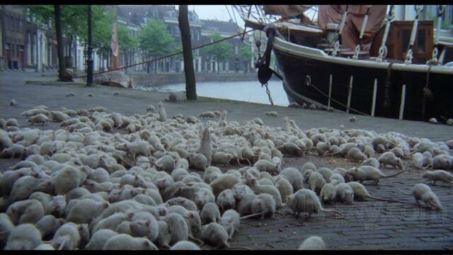 File:Nos4.jpeg