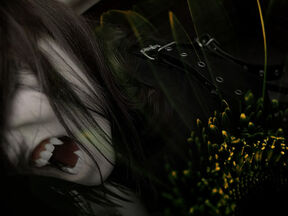 Vampis (1)