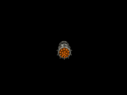 Itm11.gif