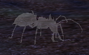 Antshape