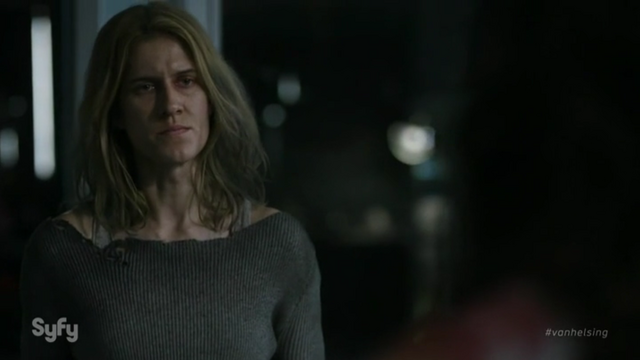 File:1x01 Help Me Nicole.png