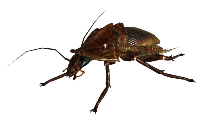 File:Radroach.png