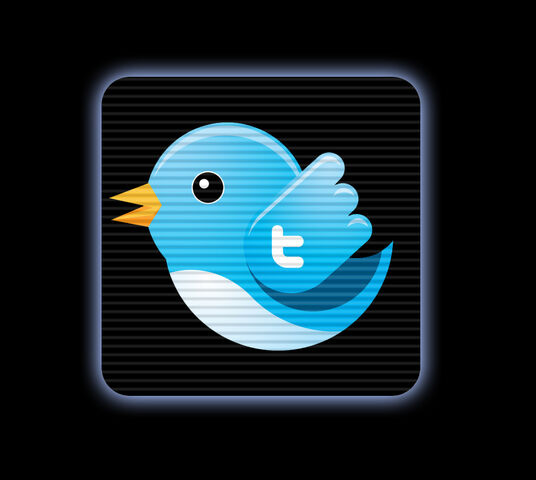 File:Twittericon.jpg
