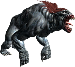 Bestiary Striga full.png