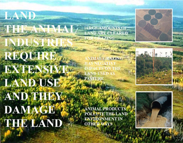File:Vegan-Land.jpg