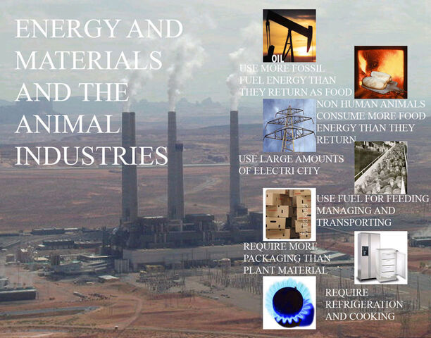 File:VeganEnergy.jpg