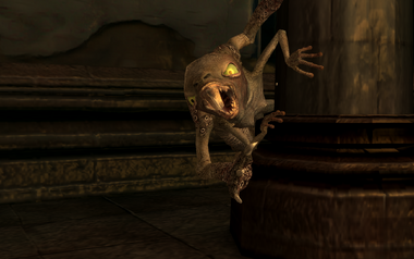 Lector attacking