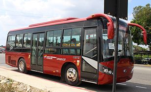 Bus BARINAS.jpg