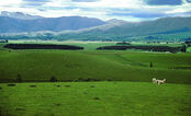 Plains
