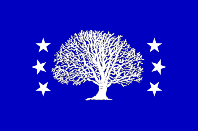 File:CT Flag Proposal ironchefshark.png
