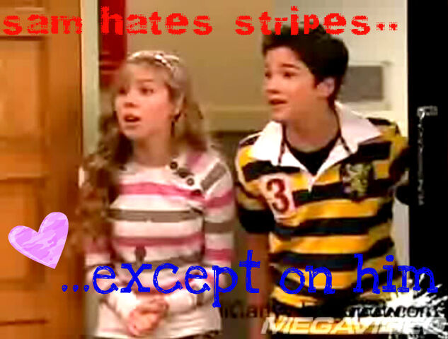 File:Sam hates stripes...jpg