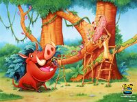 Timon Pumba cazabichos.jpg