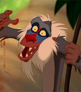 Rafiki.jpg