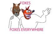 Fax