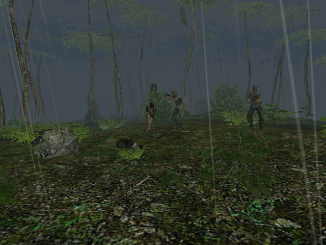 Súbor:Vietcong 2013-05-11 13-49-20-50.png