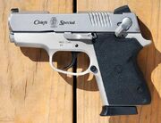 S&W-Chief