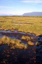 Water flowing from mountains.jpg