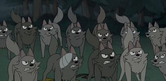 WolfPackWeBareBears