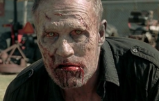 WalkerMerle