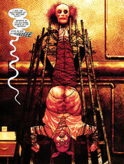 1391901-batmanandrobin14 pyg